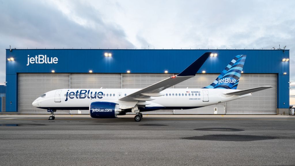 Paul Faust, a JetBlue passenger and fervent proponent of Israel, noticed a flight attendant with a Free Palestine pin on her uniform.