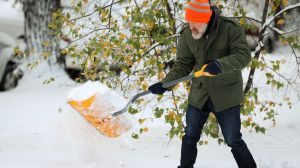 A lake-effect snowstorm lead to school closures and transportation cancellations throughout parts of western and northern New York.