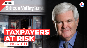 Due to lax government oversight, the American taxpayer will end up bailing out billionaires who took "stupid risks" with their money. 