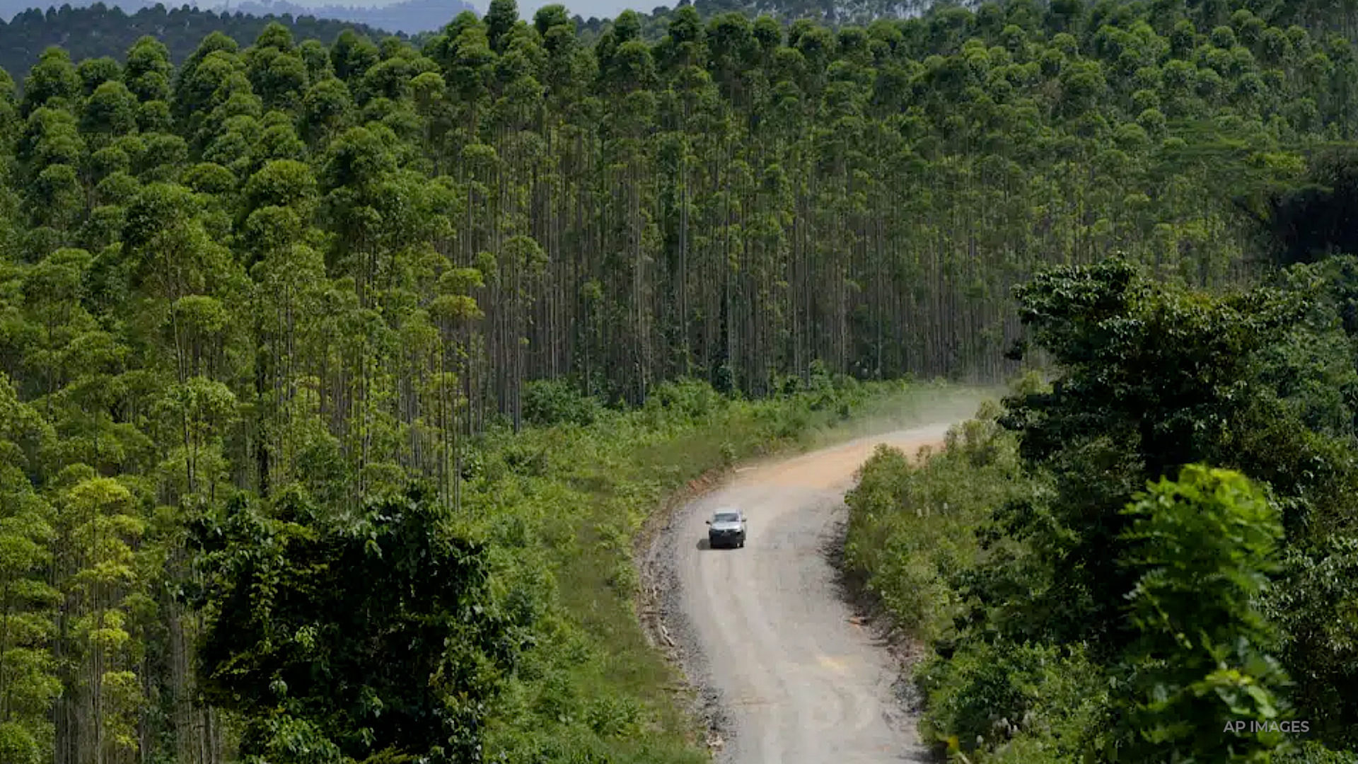 Indonesia unveiled the construction site of its new capital city, which aims to be a sustainable "forest city" and carbon neutral by 2045.