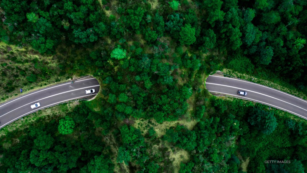US rolls out plan to build more wildlife crossings around the country