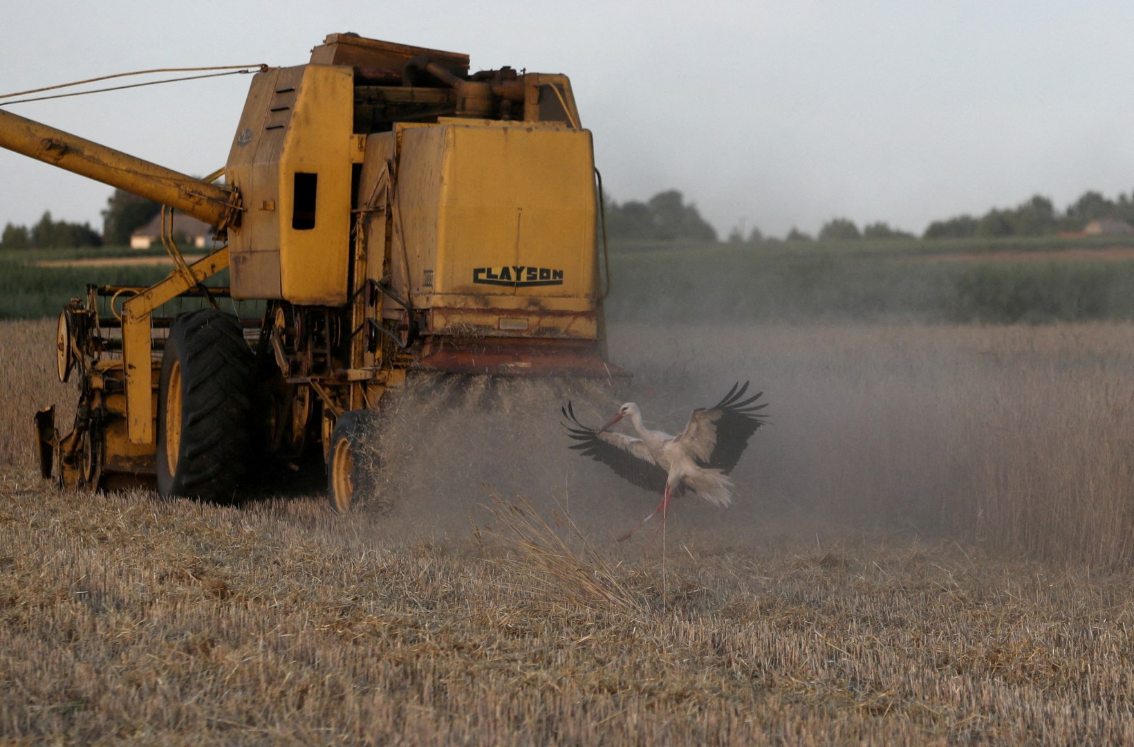 The Russians may now target agricultural infrastructure, specifically grain exports, as their next move in the Ukraine War.