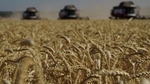 With five EU countries banning Ukrainian wheat imports, there's concern Ukraine will run into problems trying to export to other countries.