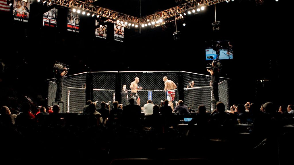 Elon Musk and Mark Zuckerberg agree to face off in a cage fight