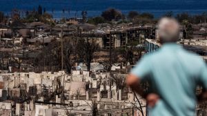 A historic and sacred tree in Lahaina, Hawaii, is budding new leaves despite being covered in burn scars from August's wildfire.