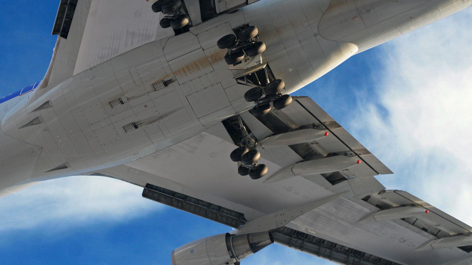 A flight headed to Belgium was forced to return to New York City's JFK Airport because a horse got loose on the 747 cargo plane.