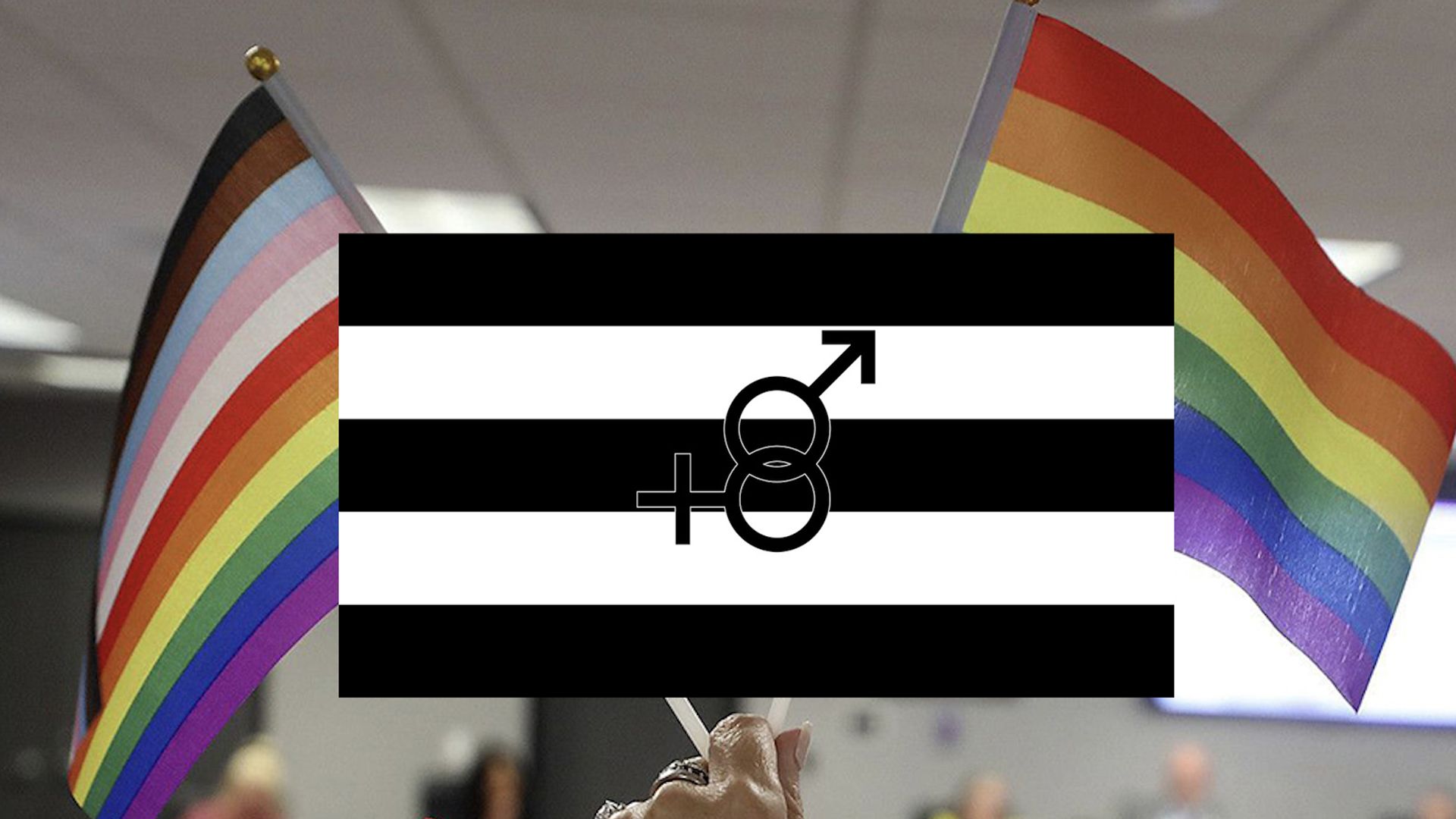 A Denver parent is suing a school for discrimination after the school refused to fly a "straight pride" flag with the LGBTQ pride flag.