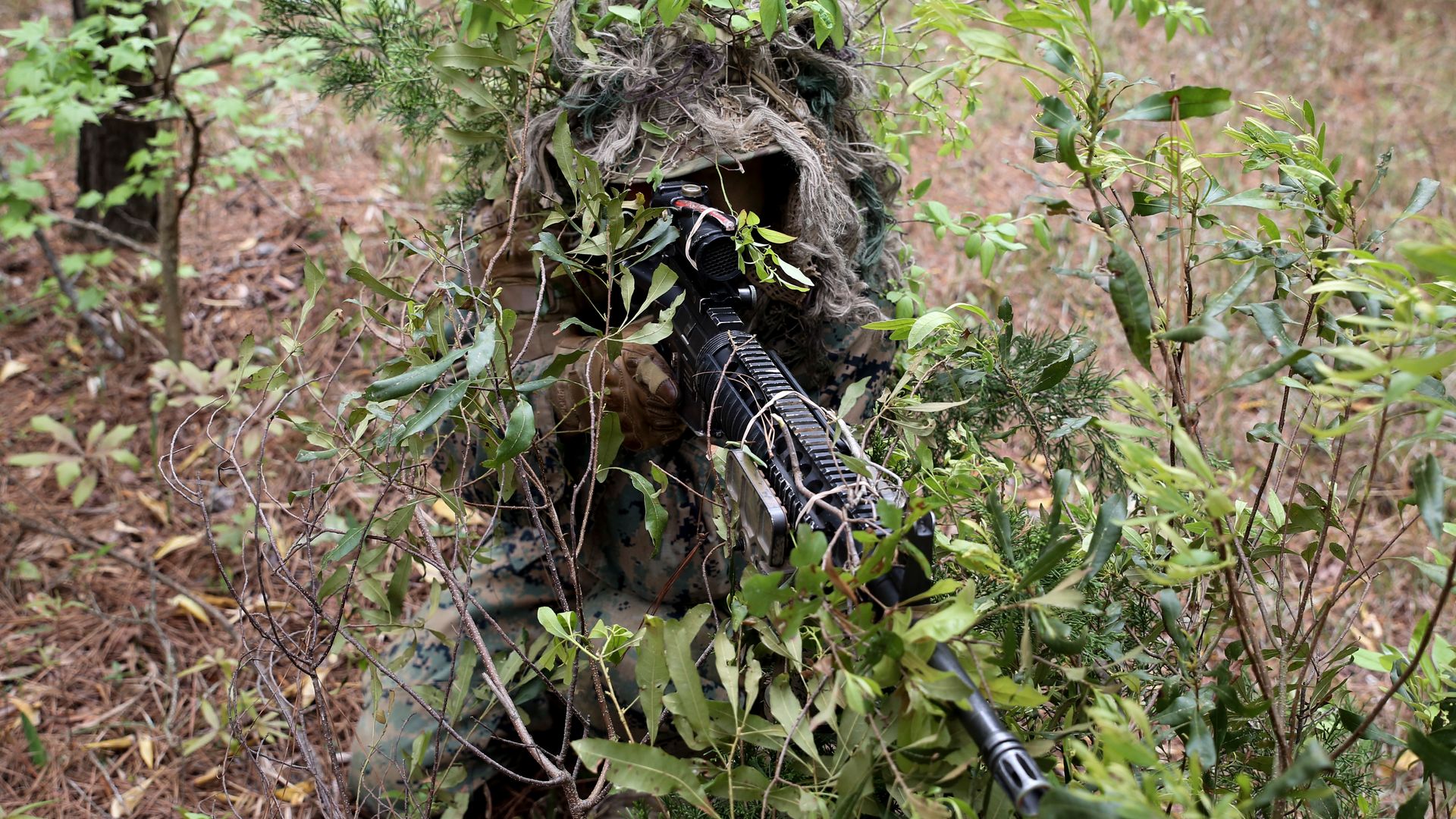 The U.S. Marine Corps isn’t training scout snipers anymore. The last eight graduated from their training school in December.