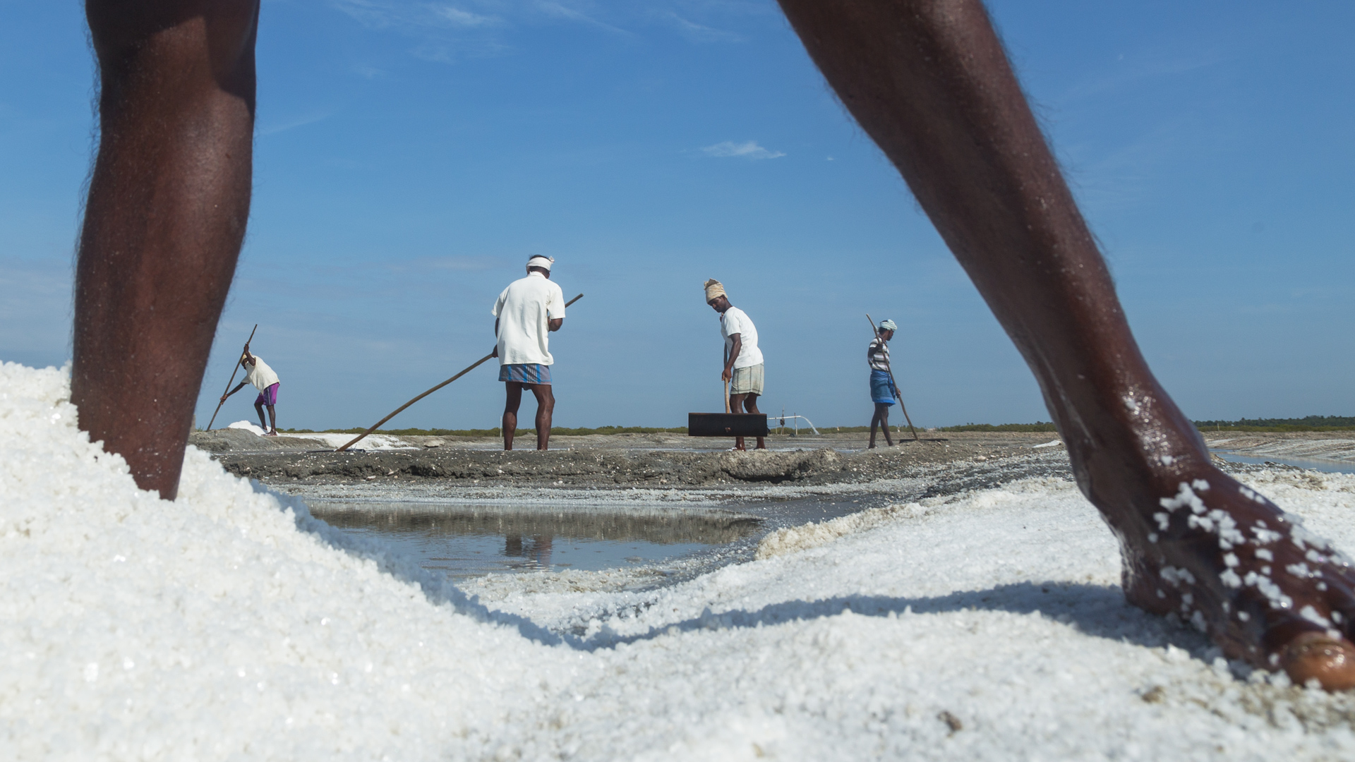 India's Adani Green Energy is constructing a 30-gigawatt hybrid renewable energy park, combining wind and solar, on the salt flats of Gujarat, one of the largest salt deserts in the world. The Khavda Renewable Energy Park, spans 280 square miles and aims to contribute significantly to India's goal of installing 500 gigawatts of clean energy by 2070.