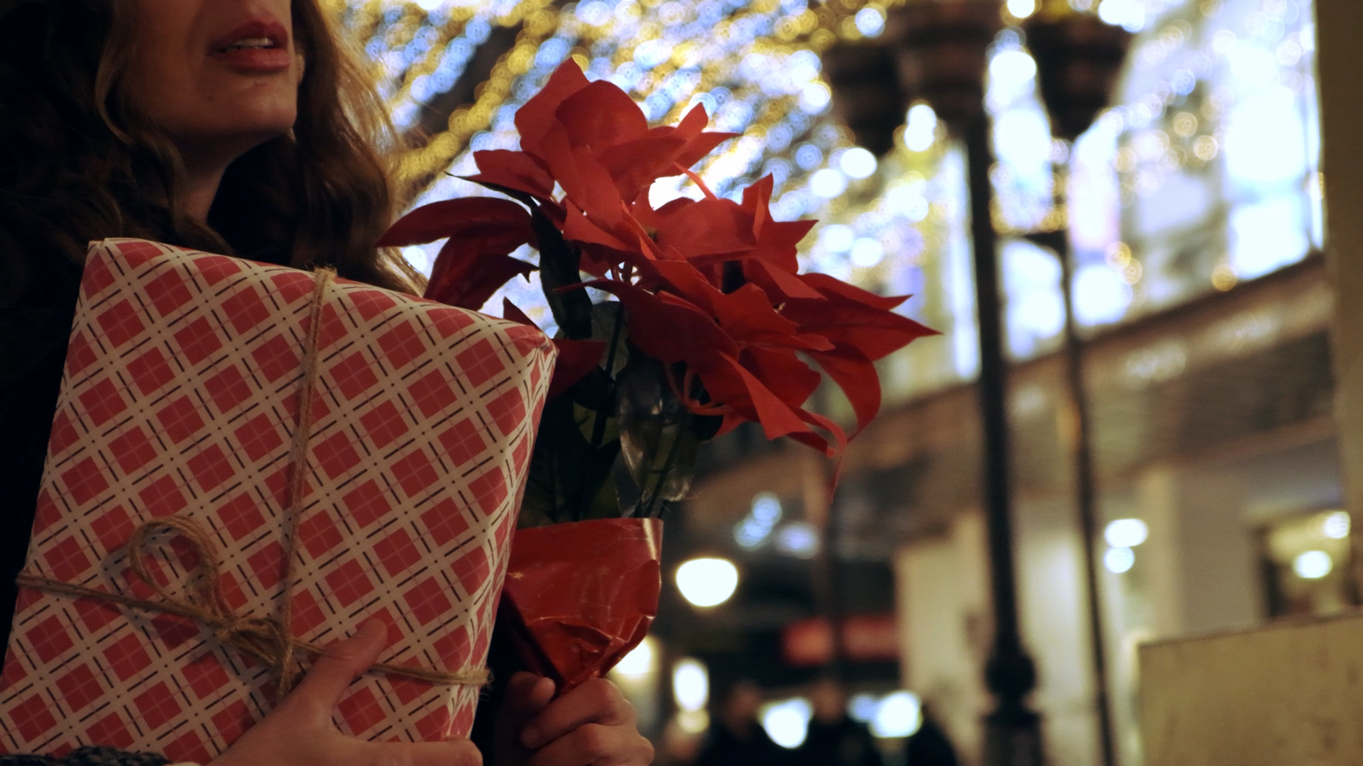 The poinsettia, a staple in U.S. holiday decor, boasts over one hundred varieties and generates around 0 million annually. Originating from Mexico and Central America, it was introduced to the U.S. and named after the controversial American figure, Joel Roberts Poinsett.