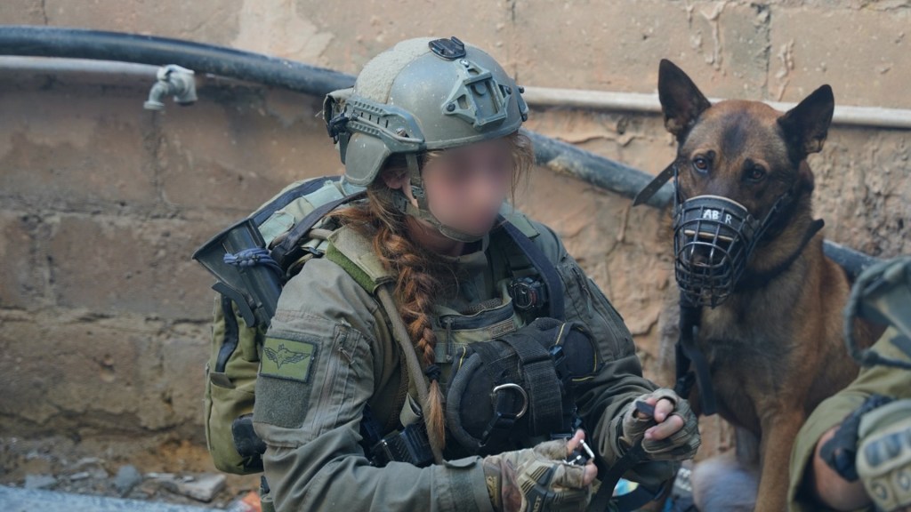 Israel’s K-9 unit sniffs out weapons, explosives inside Gaza civilian homes