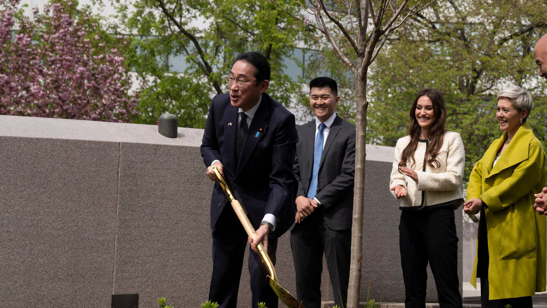 Japan is gifting the U.S. with 250 cherry trees ahead of the United States 250th anniversary in 2026.