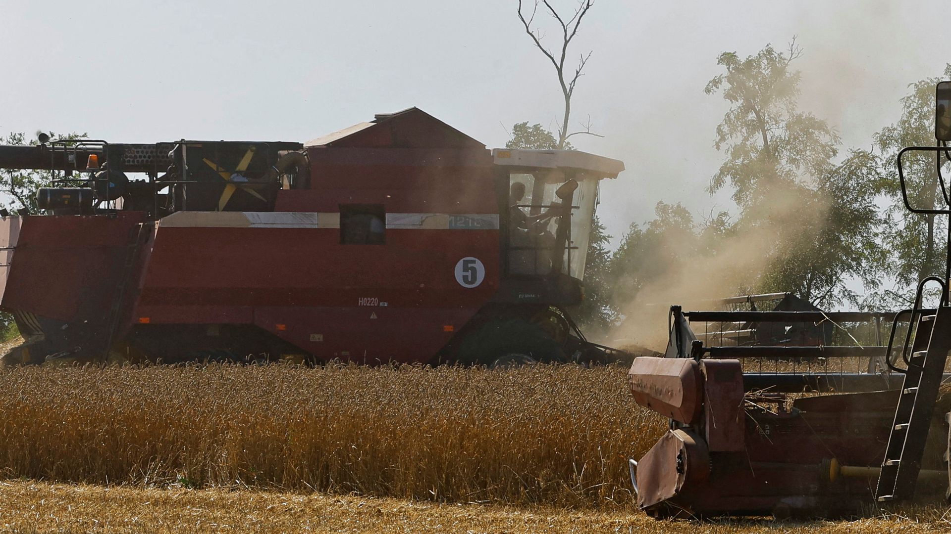 Changes in global politics and military strategies are helping Ukraine's agriculture make a comeback in the market.