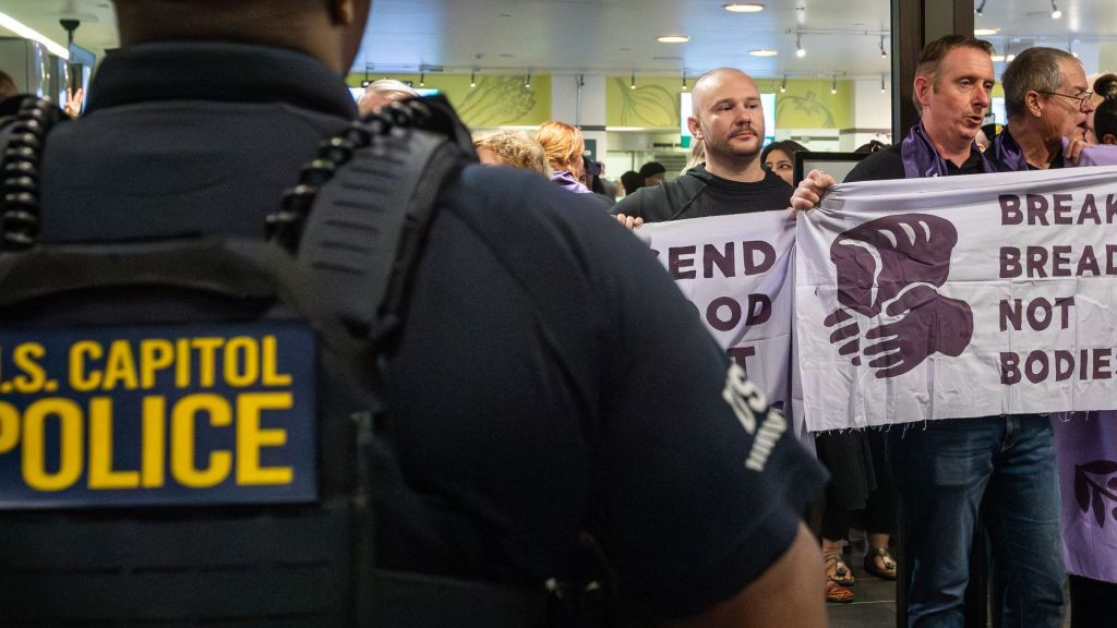 About 50 activists calling for a cease-fire in the Israel-Gaza war were arrested after protesting in the Senate cafeteria around lunchtime.