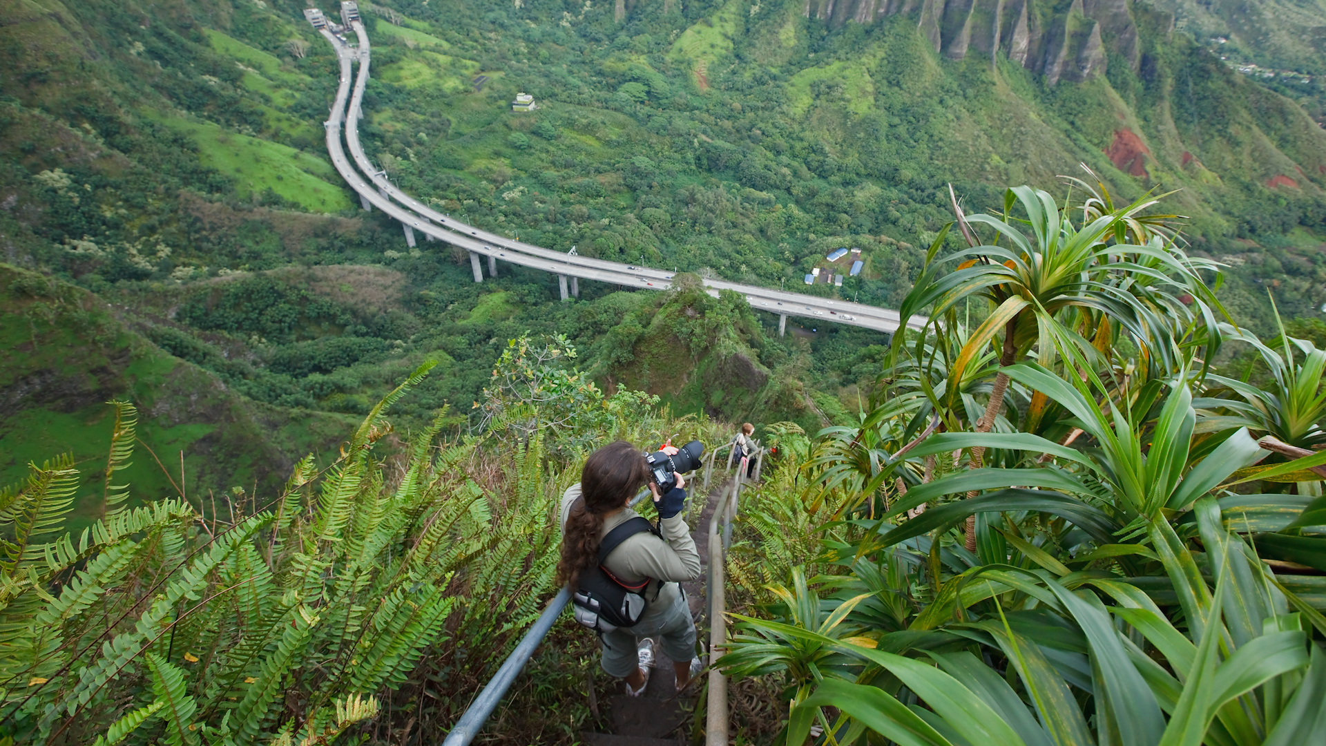 Hawaii dismantles WWII era "Stairway to Heaven," Ha‘ikū Stairs, removal to cost .5 million, last six months.