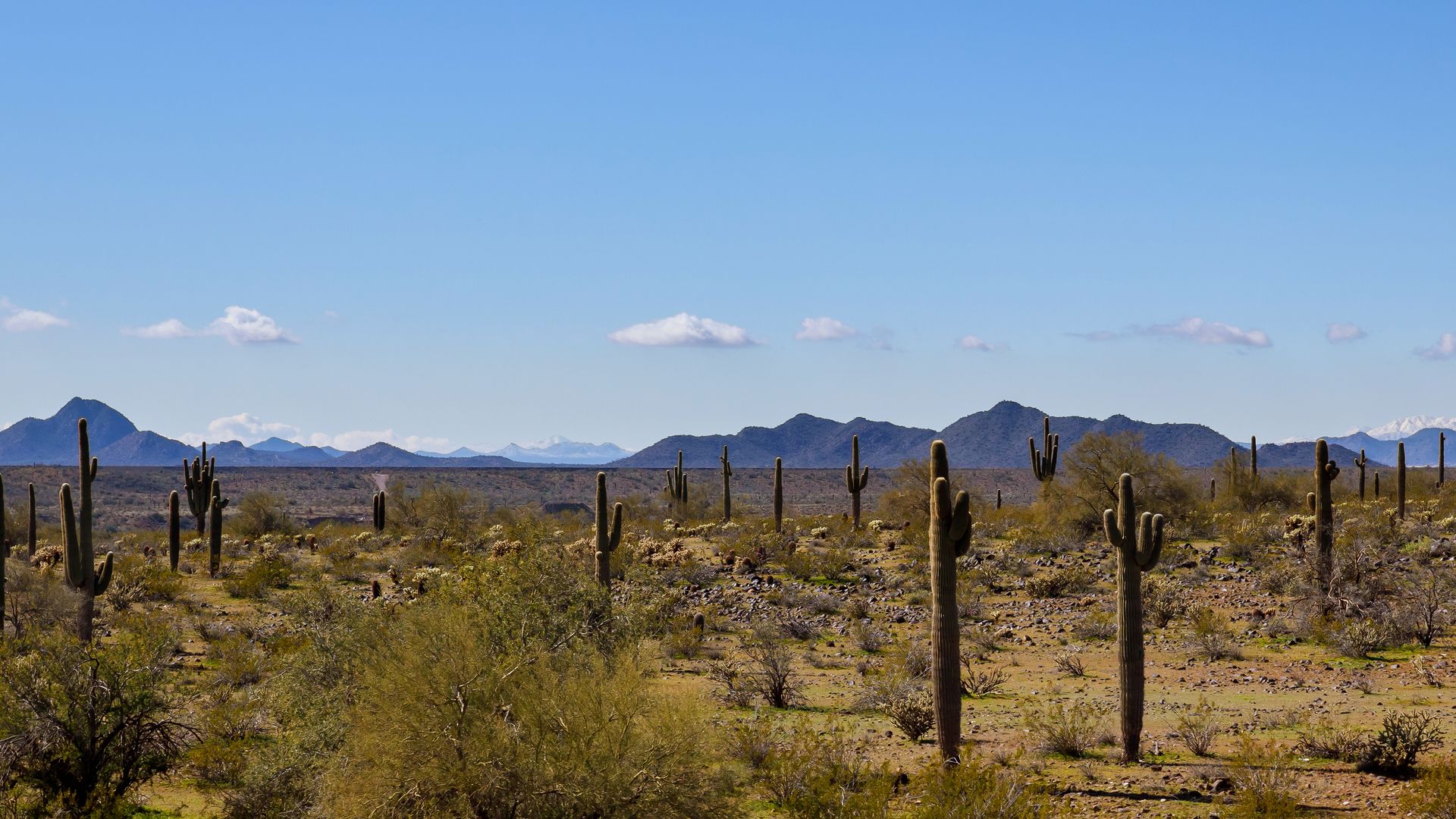 An Arizona bill proposed legalizing the murder of immigrants by allowing property owners to shoot them anywhere on their property.