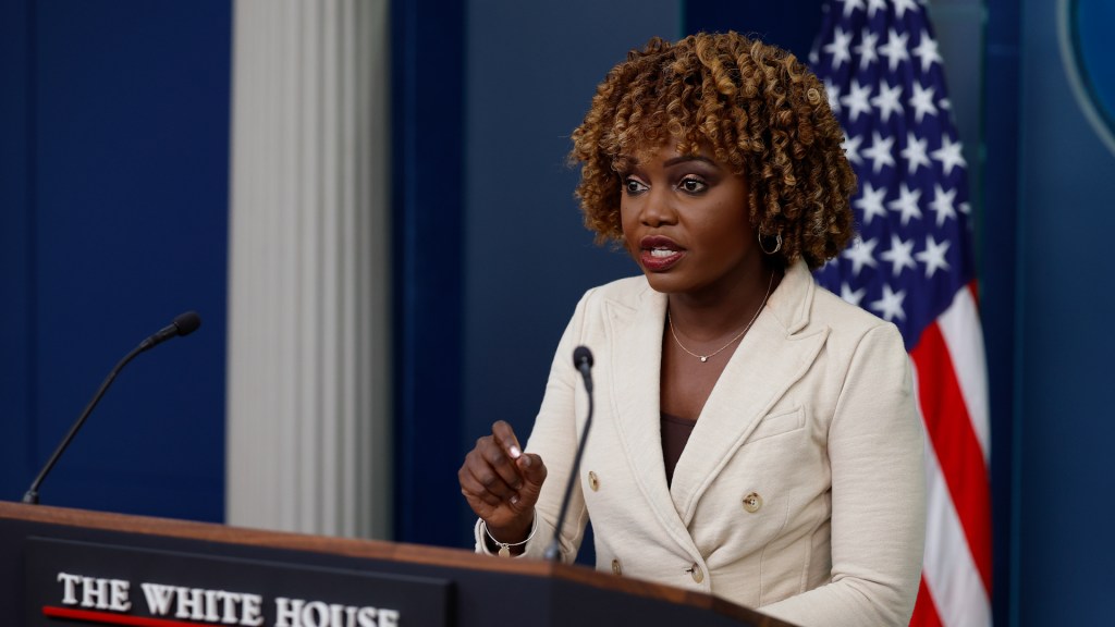 Person appears to faint from heat during White House press briefing