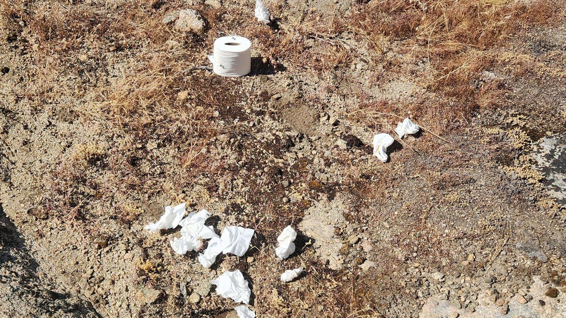 Yosemite National Park recently emphasized the importance of disposing of toilet paper responsibly to keep the park clean and healthy.