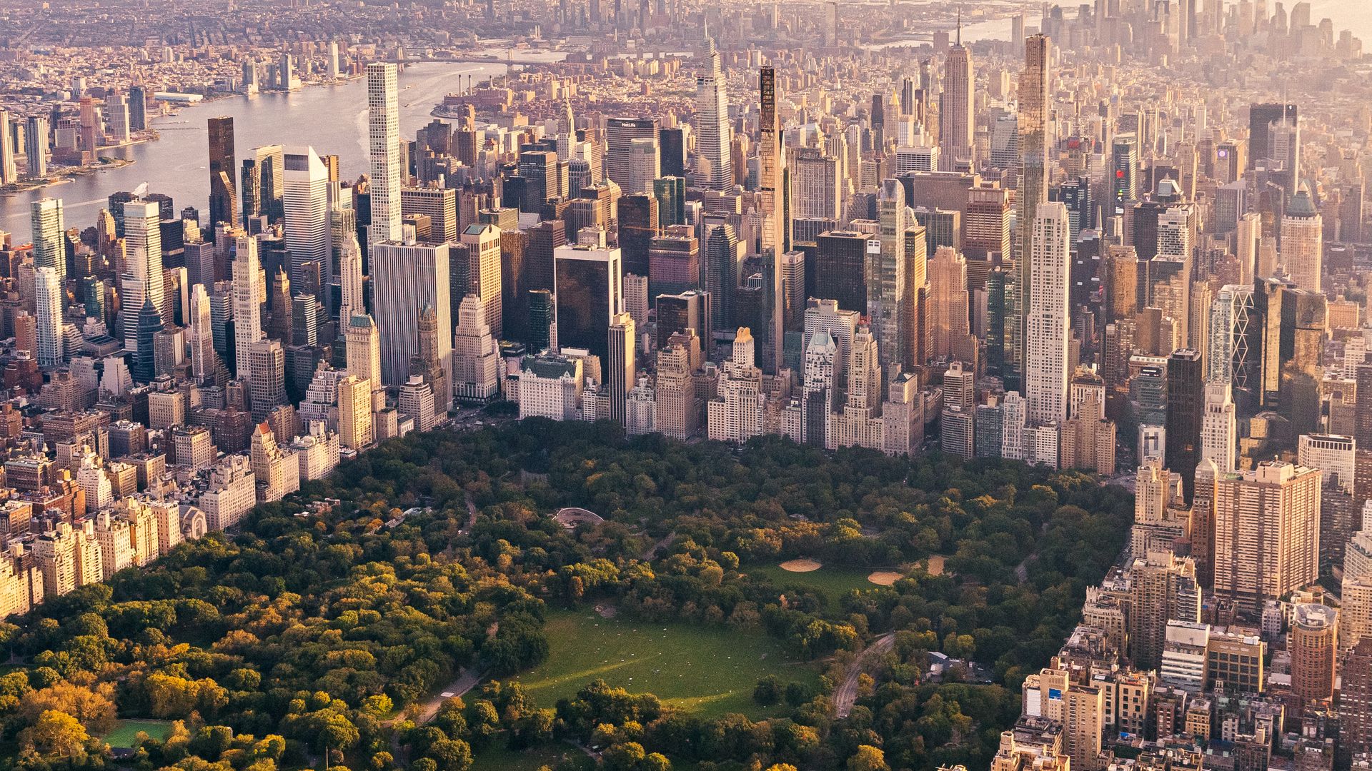 Robert F. Kennedy Jr.'s admission of putting a dead bear in Central Park is prompting the New York City's Department of Sanitation to offer advice about the disposal of dead animals in the city.