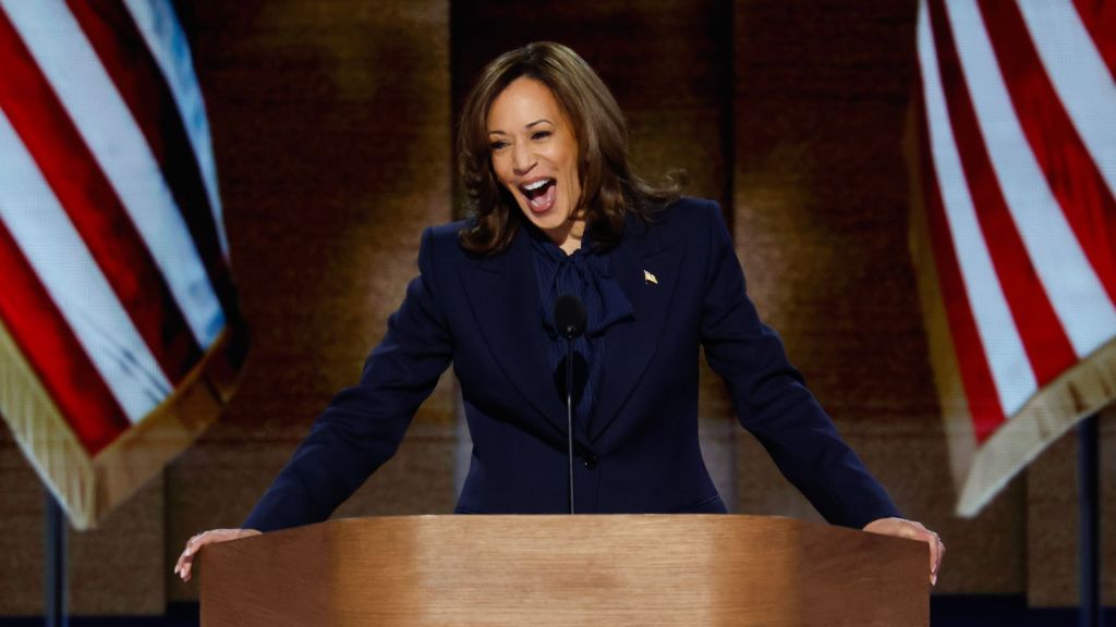 VP Kamala Harris formally accepts Democratic presidential nomination at DNC