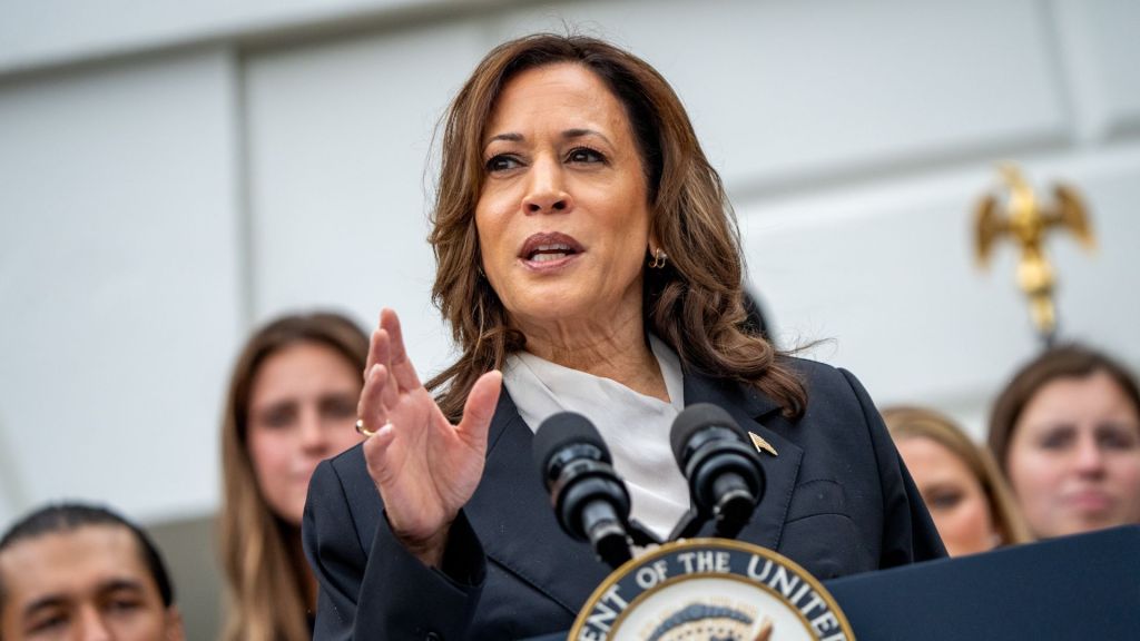 Kamala Harris has plenty of options when it comes time for her to select a running mate for the Democratic ticket. Here are some of the best.