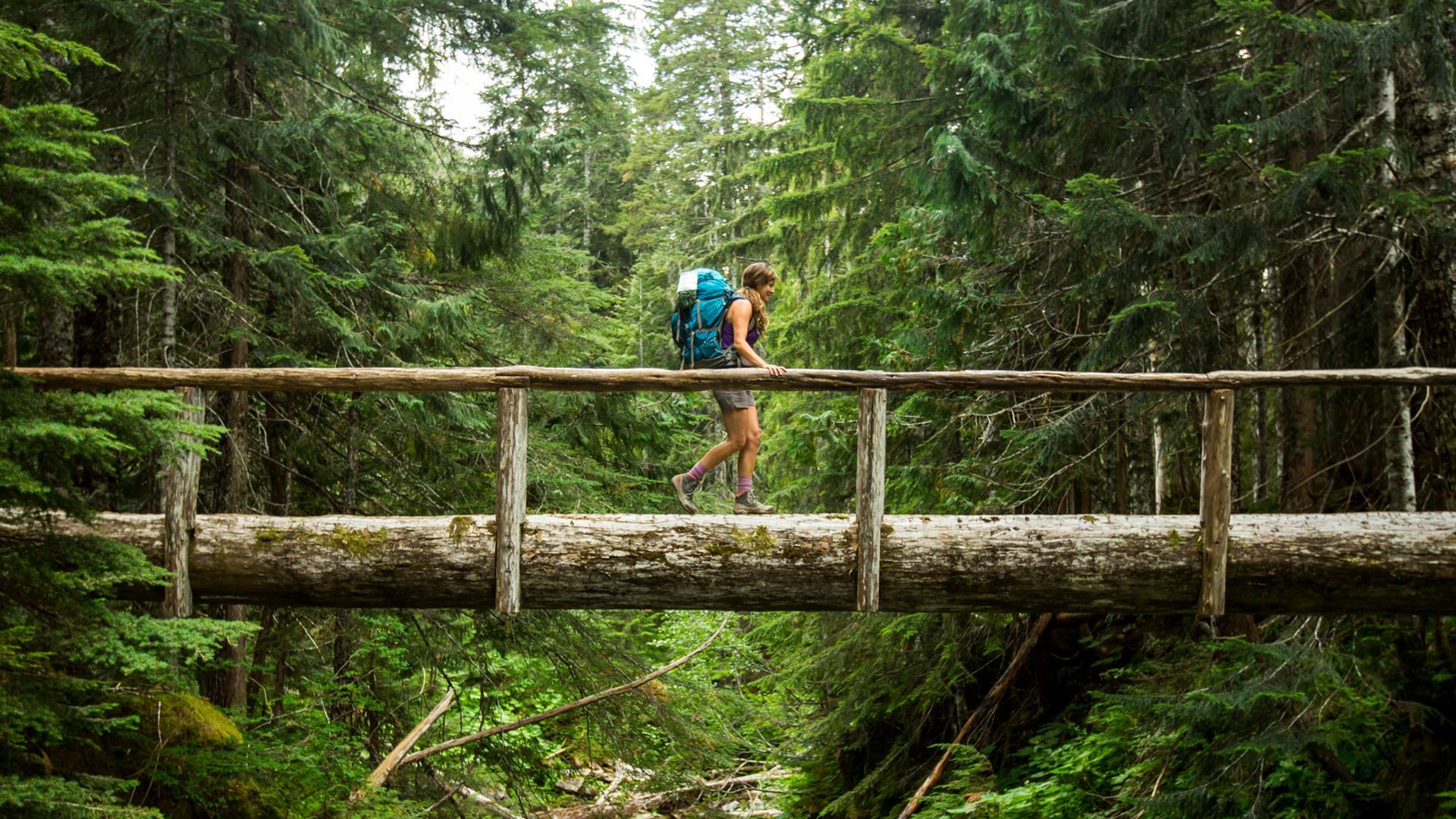 The National Park Foundation received a 0M donation from Lilly Endowment Inc., the largest single gift ever for U.S. national parks.