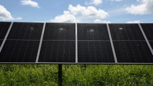 A Jordanian citizen has been arrested and charged in connection with an attack on a solar energy facility in Florida.