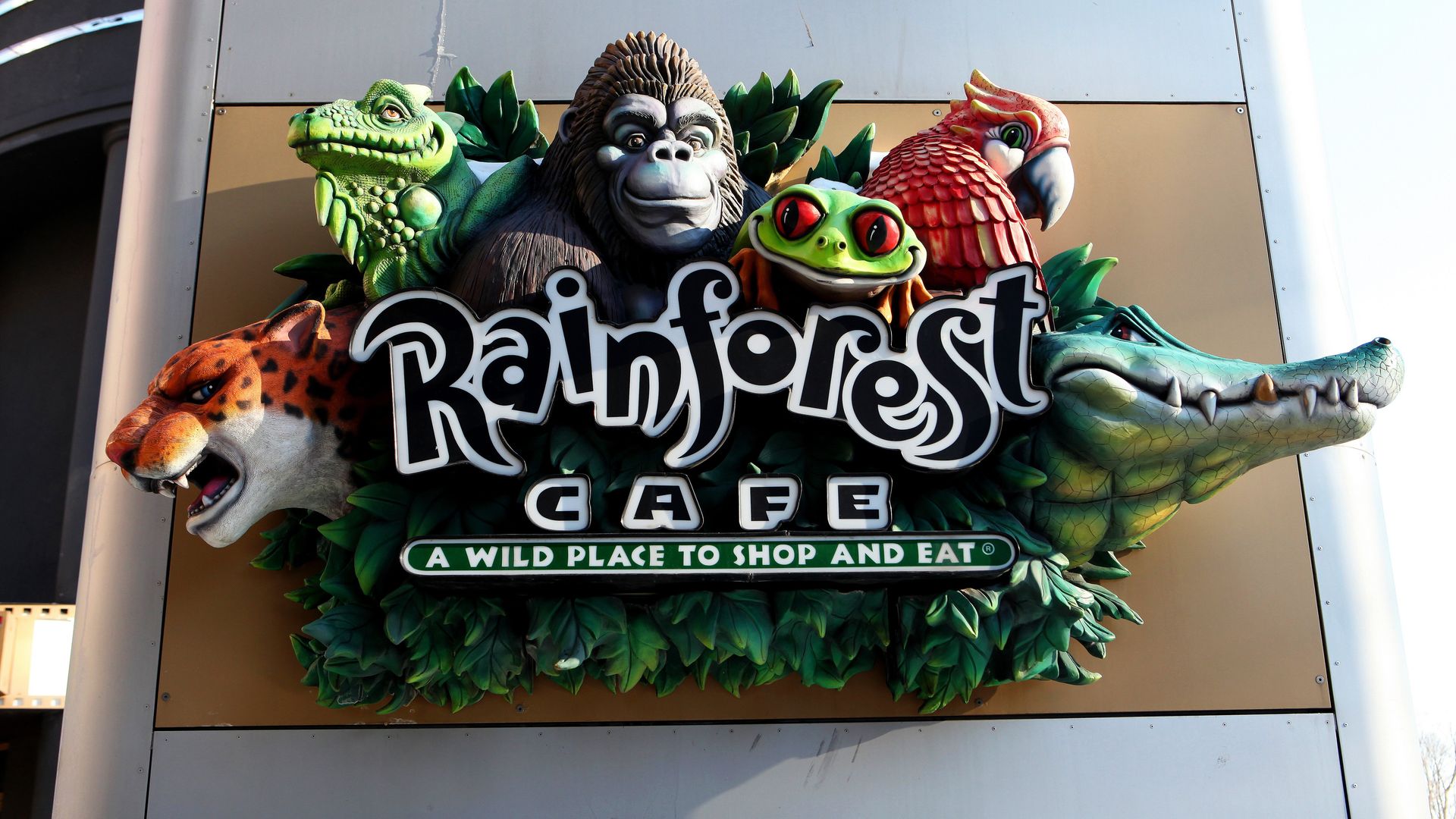 The Rainforest Cafe will be coming to New York City's Empire State Building this fall.