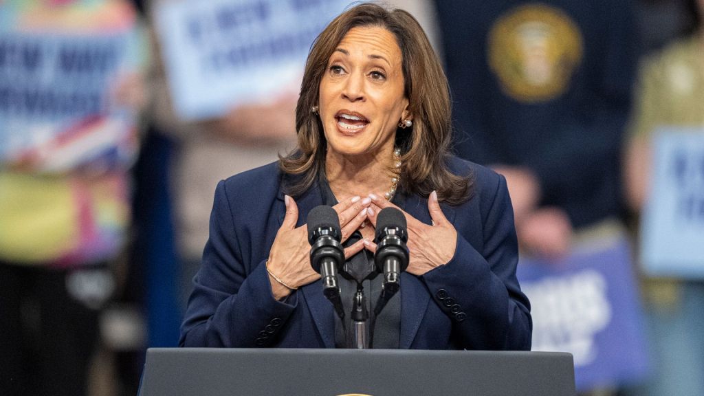 Kamala Harris sparks controversy over alleged fake phone call with camera app open on her phone during election day visit.