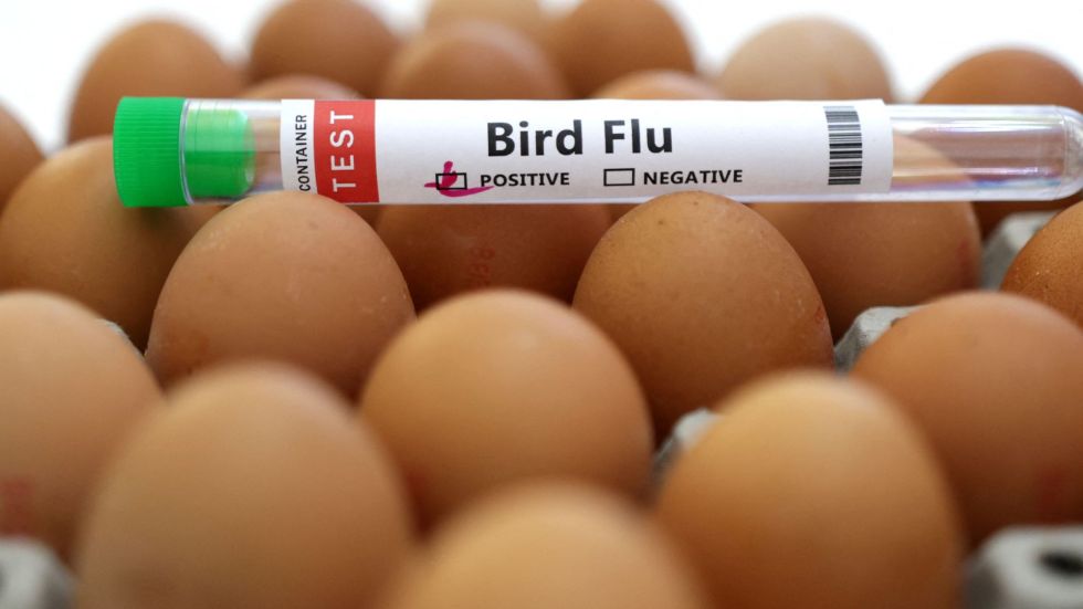 The U.S. announced on Friday, Oct. 4, that it is investing $72 million to double its supply of ready-to-use bird flu vaccines by early next year.