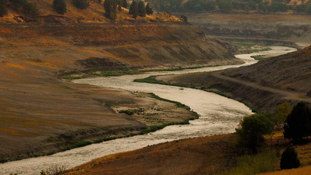 Salmon swim freely in Klamath River for first time in over a century after largest dam removal project in US history.