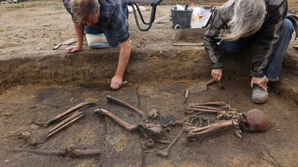 Archaeologists in Denmark have uncovered over 50 well preserved Viking skeletons, offering a look into the lives of the ancient people.