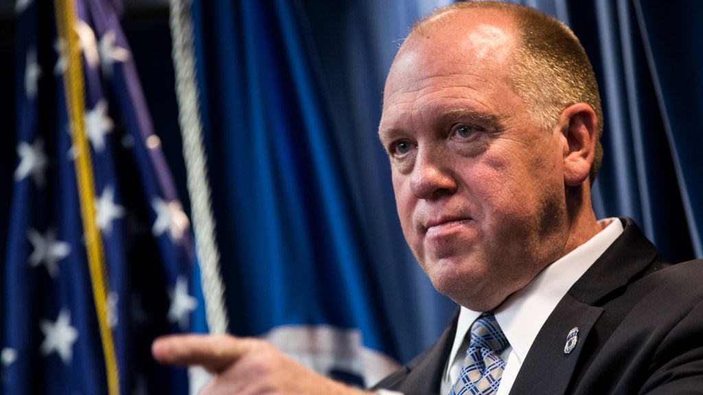 Tom Homan, President Donald Trump's border czar, responded to Pope Francis' criticism of mass deportations.