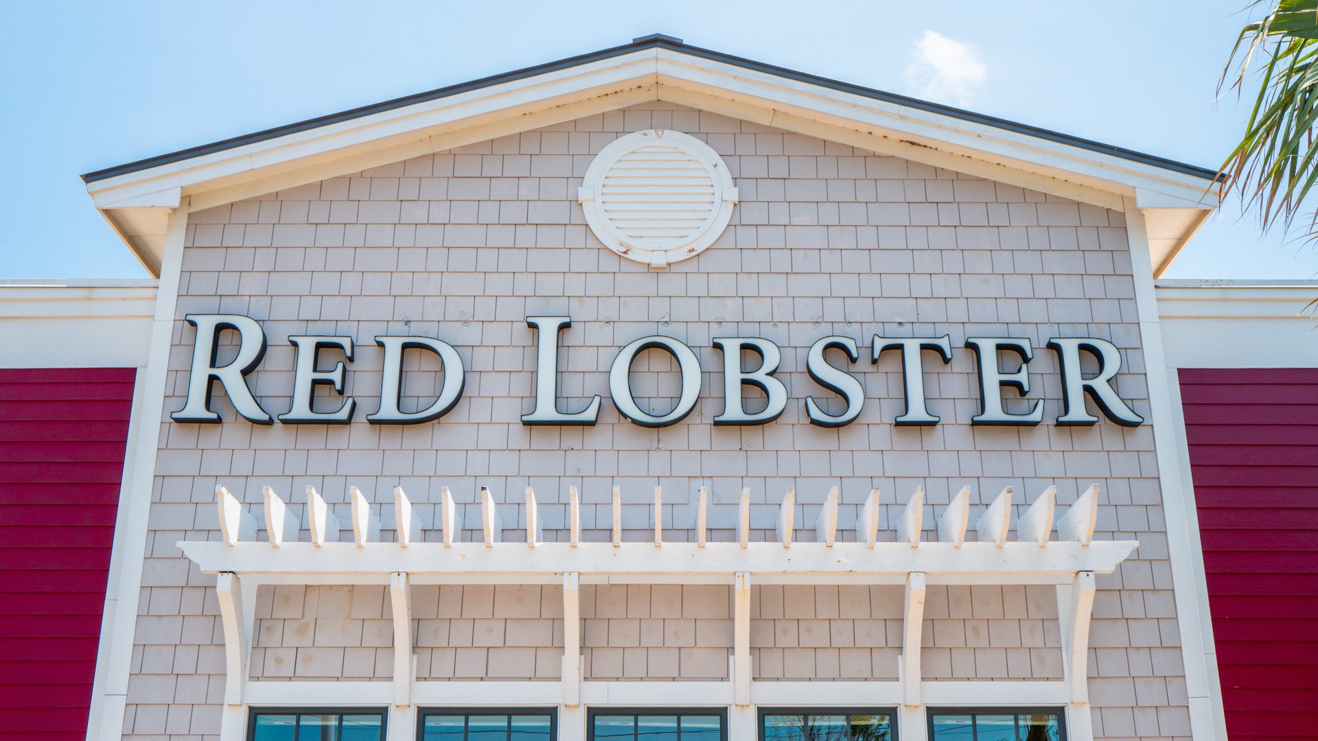 Red lobster is hoping for a comeback with a new menu and a millennial makeover led by the company’s new 35-year-old CEO.