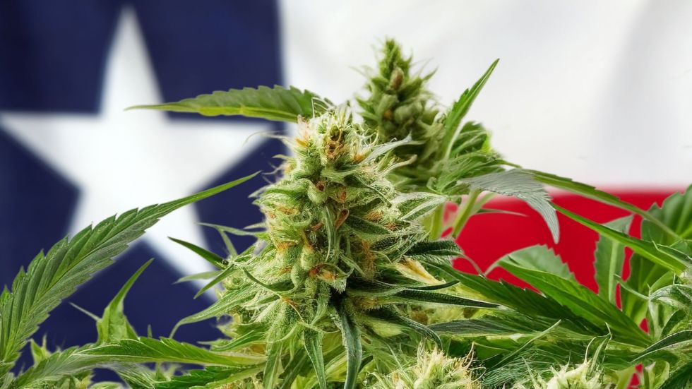 Texas is taking steps toward banning THC, with Lt. Gov. Dan Patrick, R, stating the Senate will push for a ban on all consumable products.