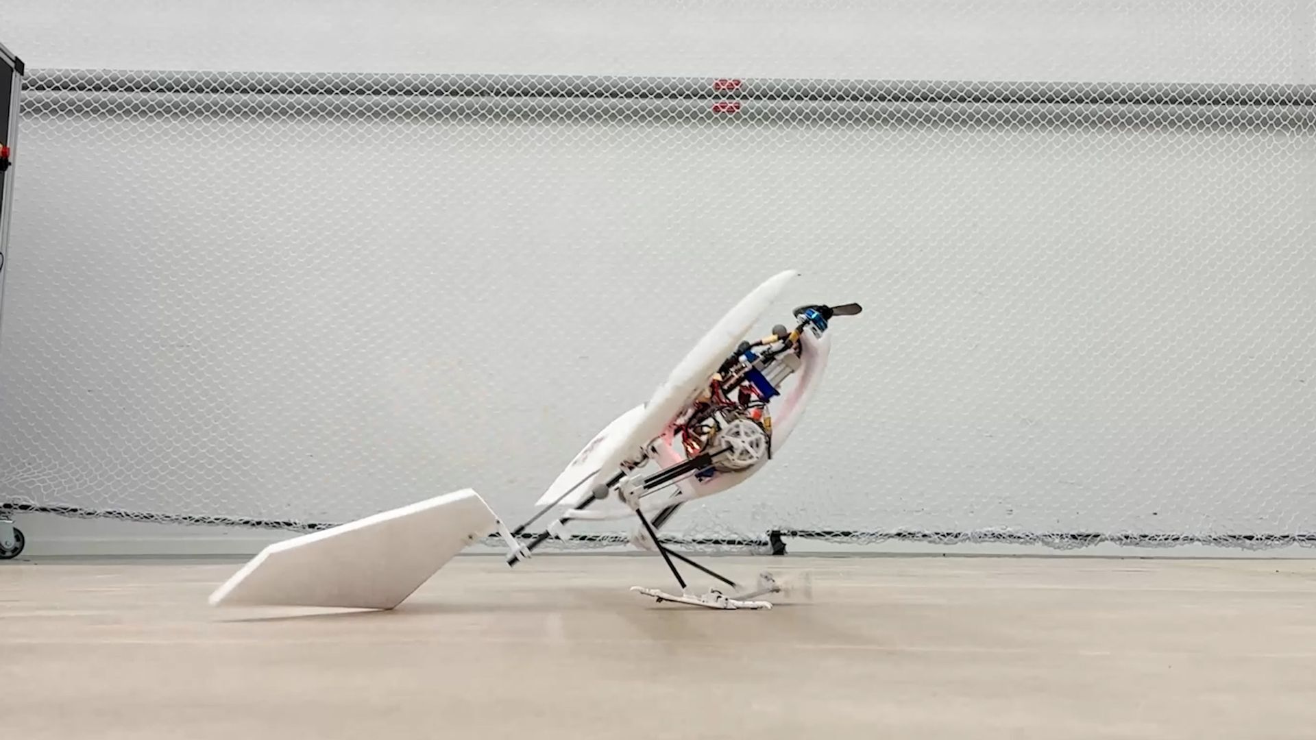 A bird-like robot could inspire the next generation of drones and planes to enhance their take-off abilities in the future.