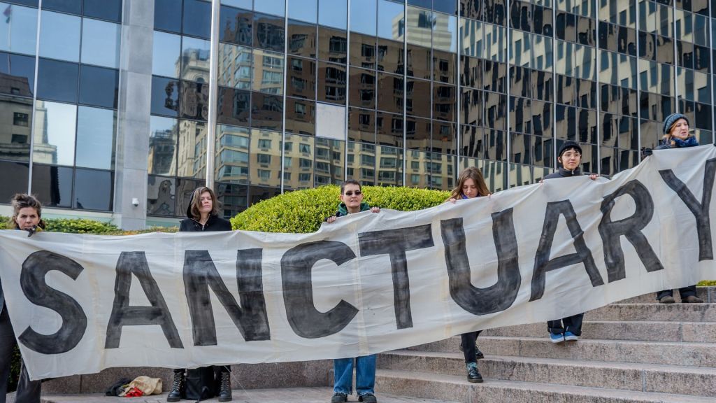 Nearly 8 million people are illegally living in sanctuary cities across the U.S., according to the Center for Immigration Studies.