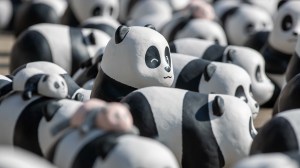 Hong Kong celebrates panda craze with 2,500 sculptures, events, and twin cubs at Ocean Park to boost tourism and economy.