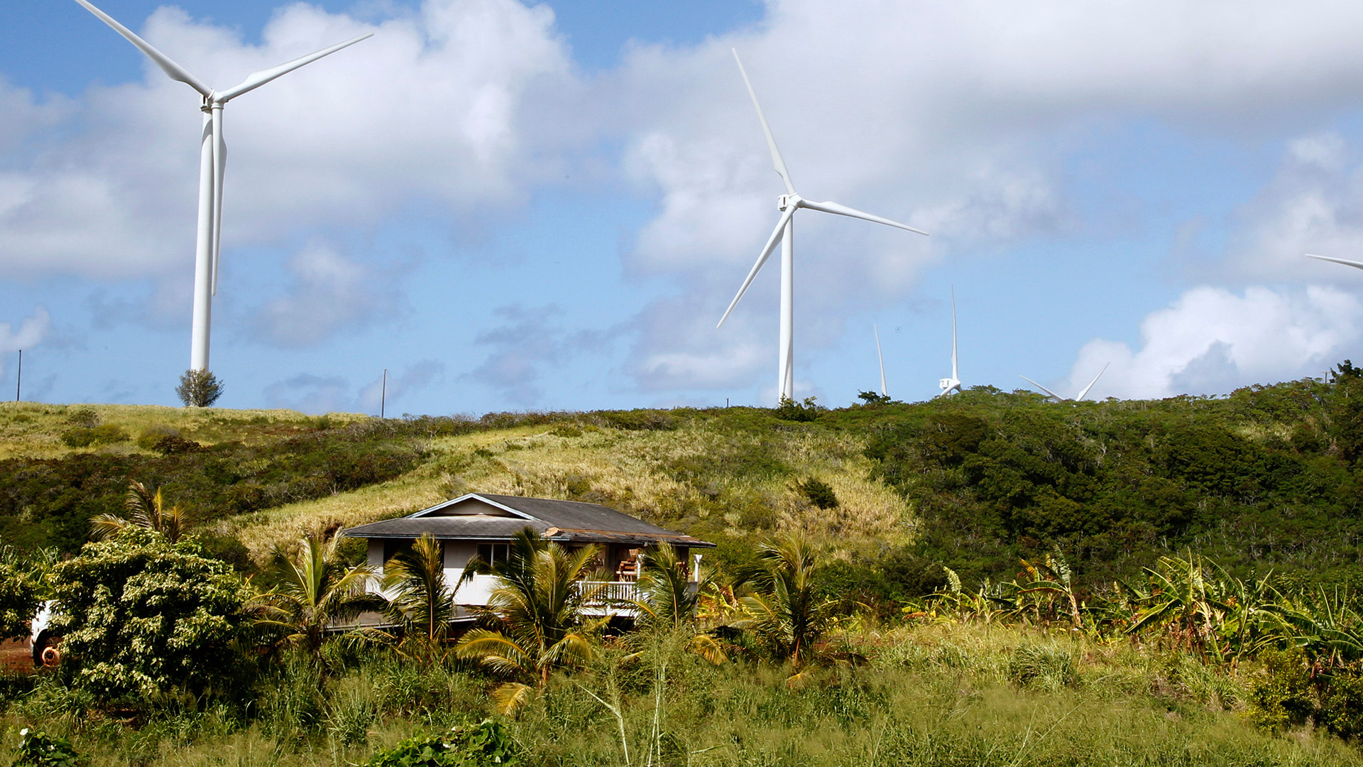 Hawaii has mandated the removal of multiple wind turbines, raising concerns about how this will impact the state's clean energy goals.