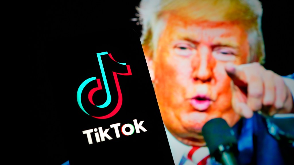 Trump meets with TikTok CEO as app faces US ban