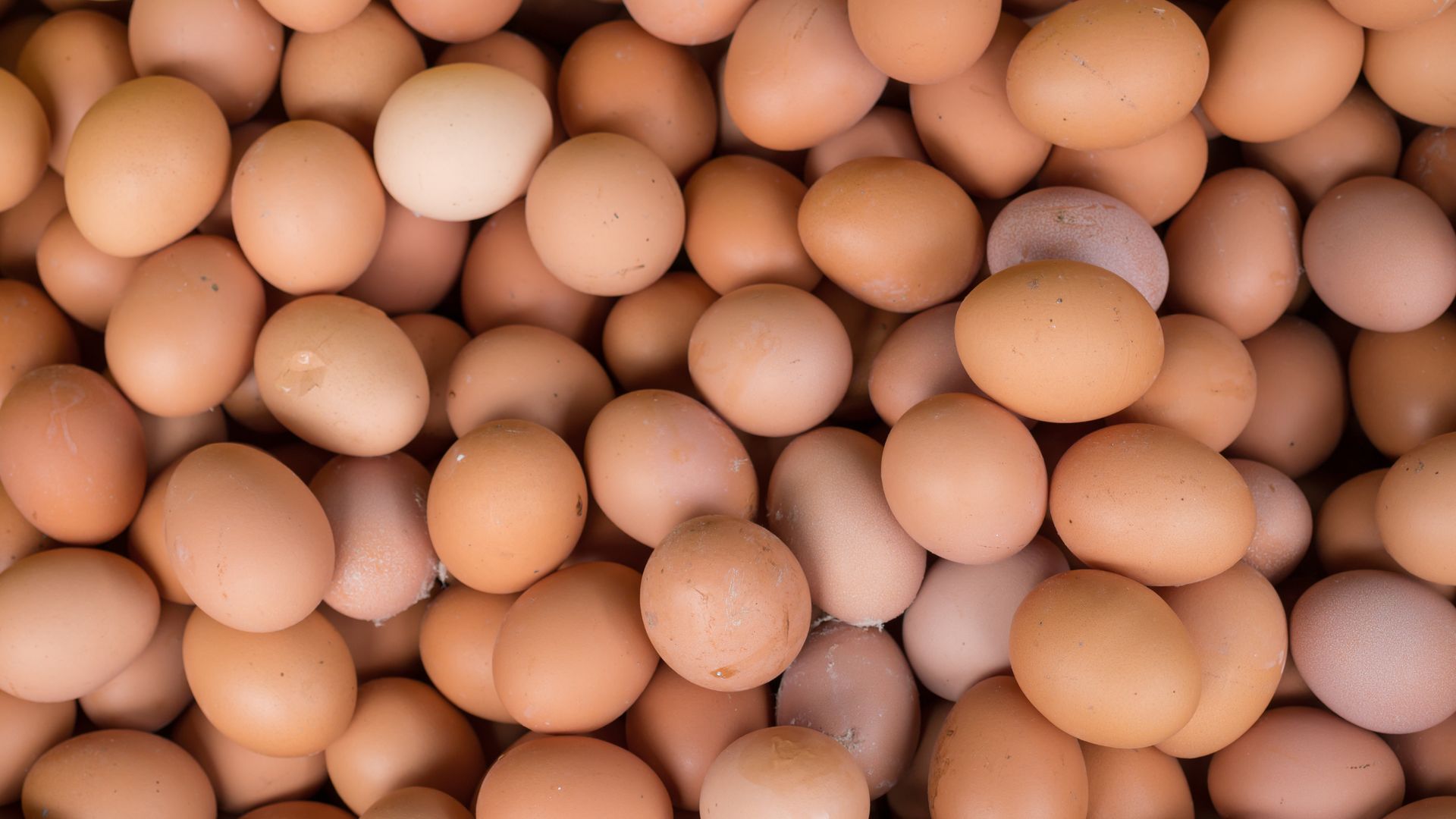 Police in central Pennsylvania say that thieves stole 100,000 organic eggs worth an estimated ,000 on Saturday, Feb. 1.