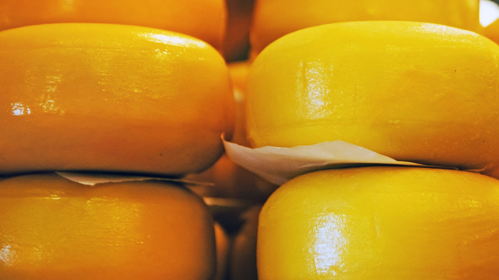 Google’s AI Super Bowl ad claimed Gouda makes up most of global cheese consumption. A blogger fact-checked, leading Google to remove it.