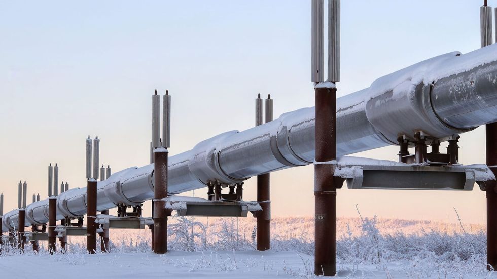 Trump said Japan, South Korea, and other nations have considered partnerships with the U.S. for a major Alaskan natural gas pipeline project.