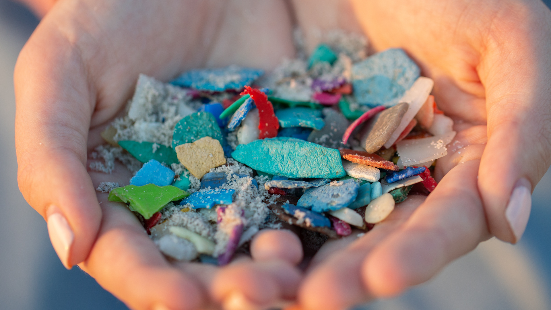 A new study suggests microplastic pollution is reducing plants' ability to photosynthesize, potentially impacting global food production.